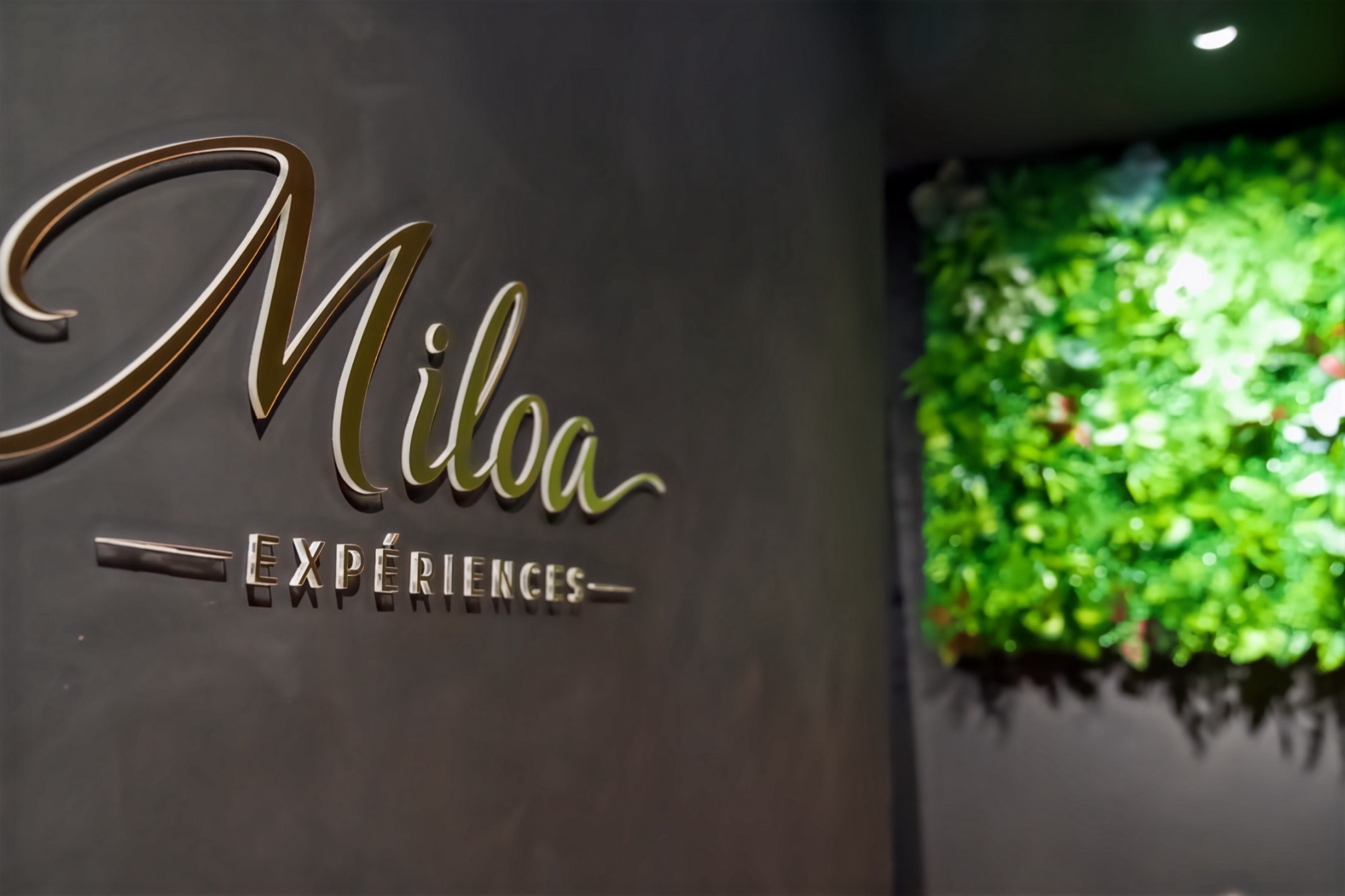 Détail de l'enseigne Miloa avec mur végétal en arrière-plan
